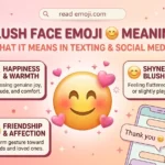 Blush Face Emoji 😊 Meaning