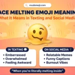 Face Melting Emoji 🫠 Meaning